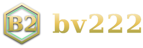 bv222 logo